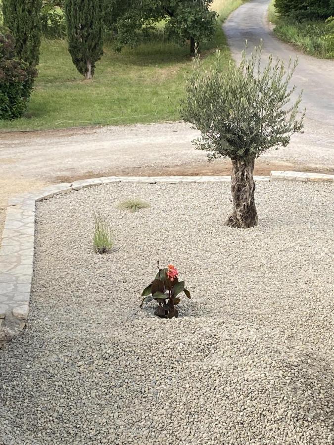 Le Jardin du Moustoulac Chambres d'hôtes Cahors Exterior foto